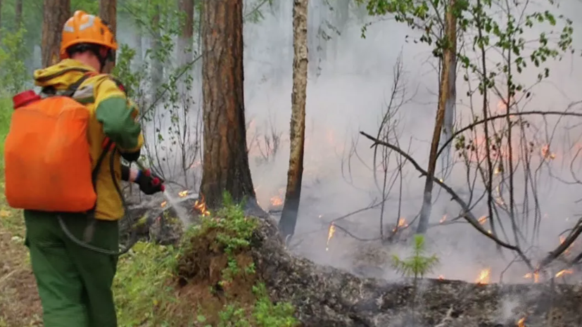 Площадь лесных пожаров в зоне тушения в России уменьшилась до 438 га
