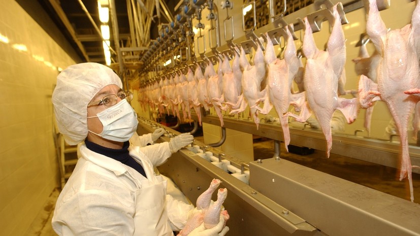 В Роскачестве посоветовали не мыть курицу, яйца и грибы