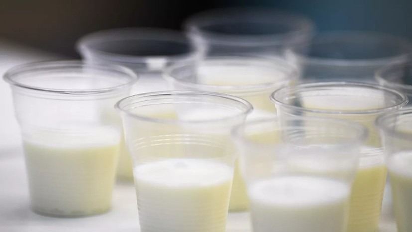 Эксперт прокомментировала предложение не считать молочными продукты с растительным жиром