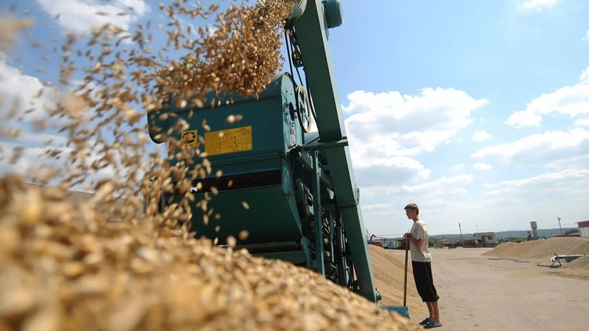 Сельхозпредприятия Ленобласти перевыполнили план по сбору зерновых культур