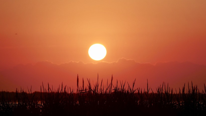 В Гидрометцентре рассказали о работающих погодных приметах