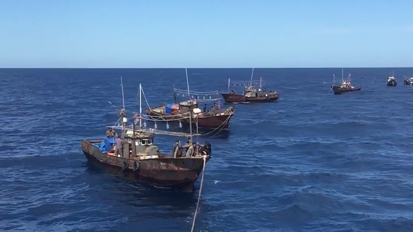 Опубликовано видео задержания северокорейских браконьеров