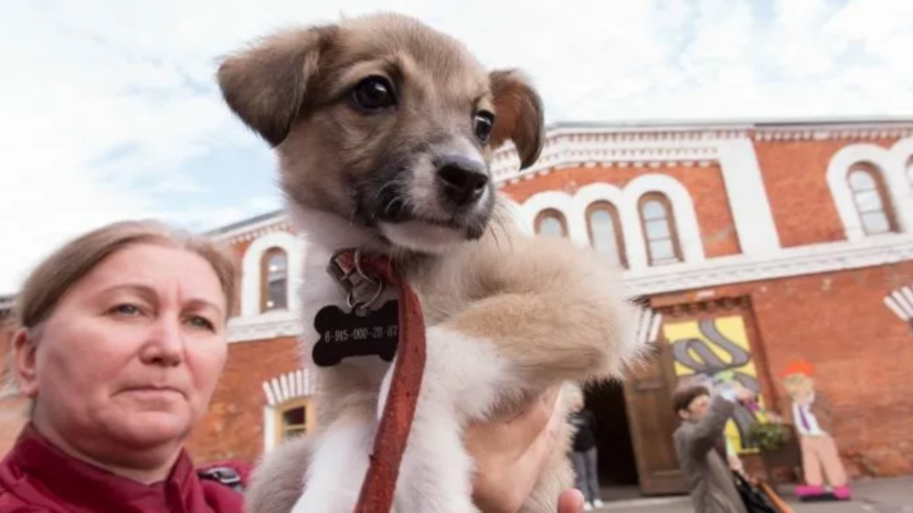 В Москве рассказали о животных, попадающих в центр реабилитации