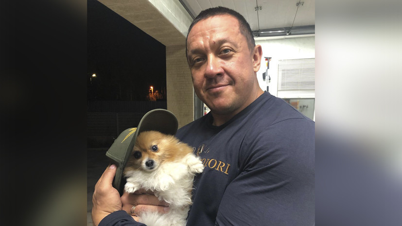 Кокляев надел брошенную в него кепку на пса