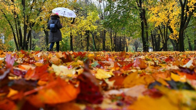 В Москве 9 октября ожидается до +8 °С