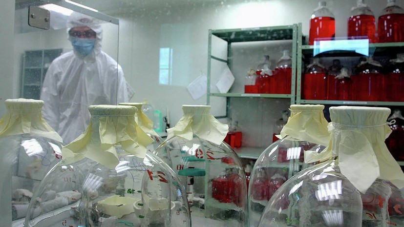 СК возбудил дело из-за пожара в центре вирусологии «Вектор»