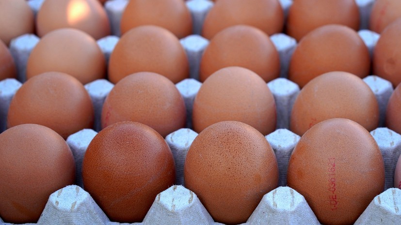 Эксперт прокомментировал данные о чрезмерном потреблении россиянами яиц