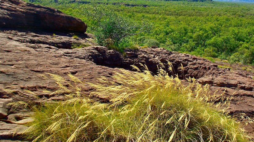 В Ростовской области утвердили госпрограмму по комплексному развитию сельских территорий