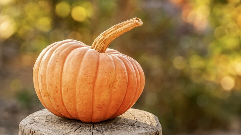 В Роскачестве дали рекомендации по выбору вкусной тыквы