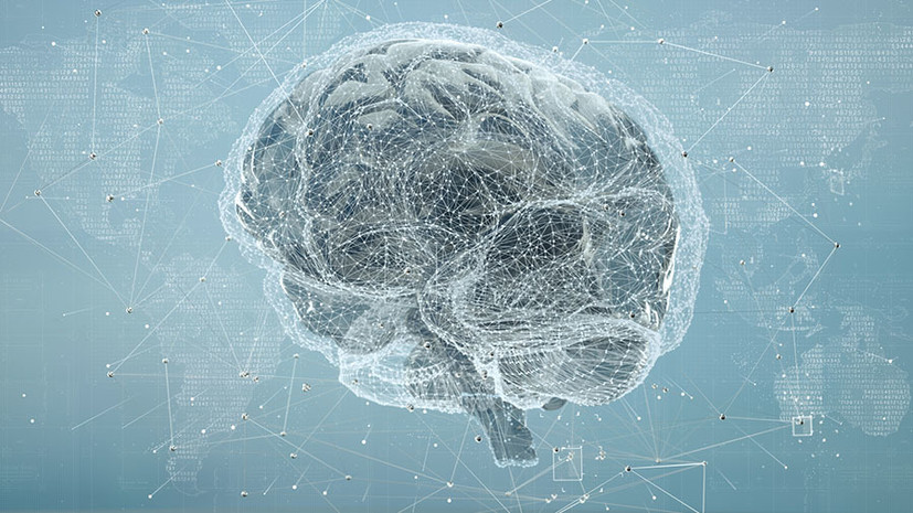 «Мозг мы используем на 100%»: российский нейробиолог — о работе памяти и воспитании гениев