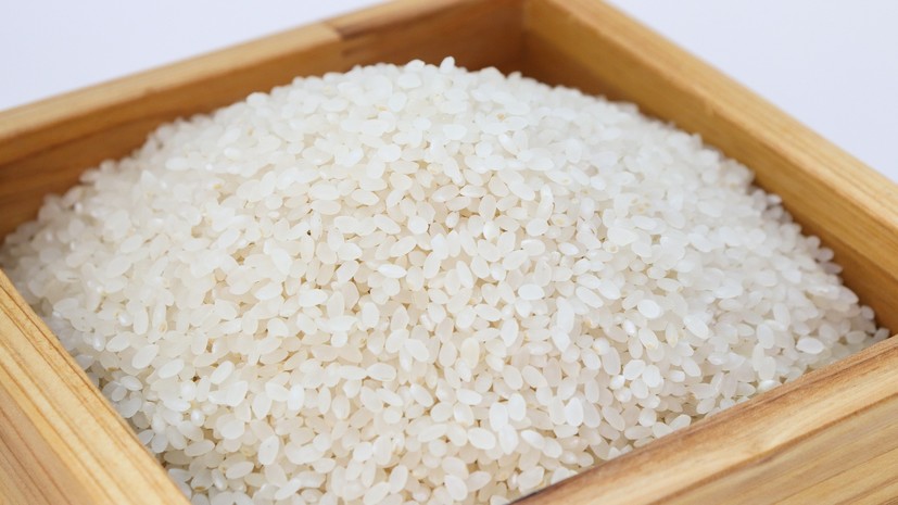 В Минсельхозе Адыгеи сообщили о сборе рекордного урожая риса