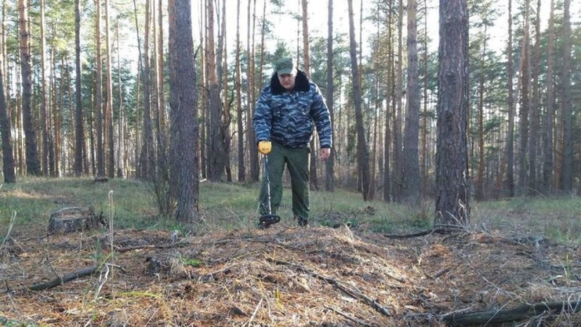 Поисковики обнаружили под Тамбовом части бомбардировщика времён Великой Отечественной войны