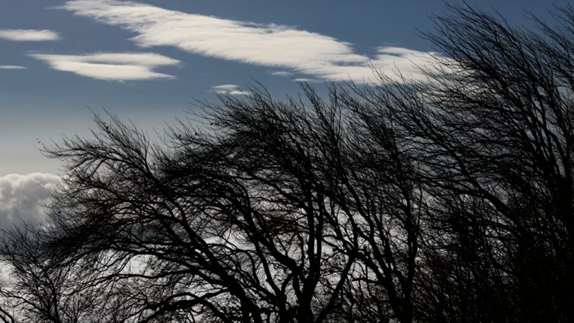 Спасатели предупредили об усилении ветра до 27 м/с в Красноярском крае