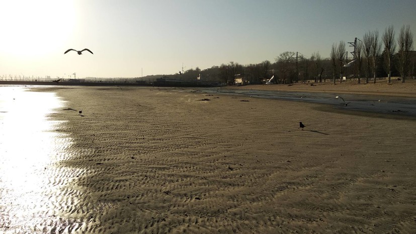 Эксперт прокомментировал сообщения об отливе в Азовском море