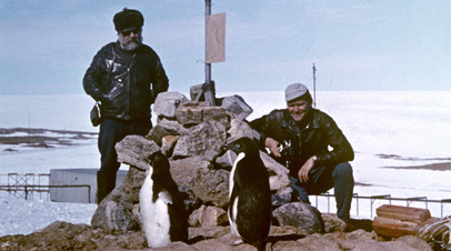 Советские полярники в Антарктиде
