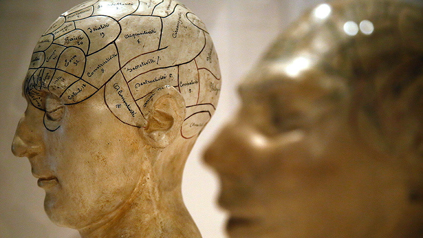«Разум — это персонализация мозга»: британский нейрофизиолог — о природе сознания и о чувстве любви