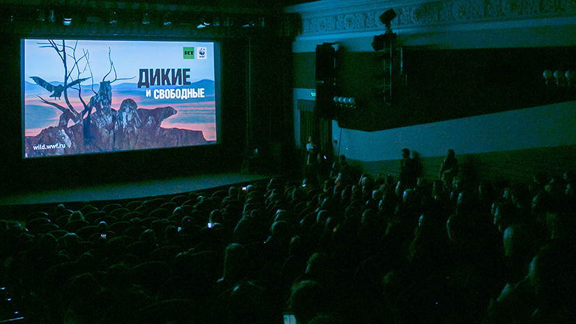 «Большая удача, что мы нашли друг друга»: в Москве показали документальный фильм RT и WWF России «Дикие и свободные»