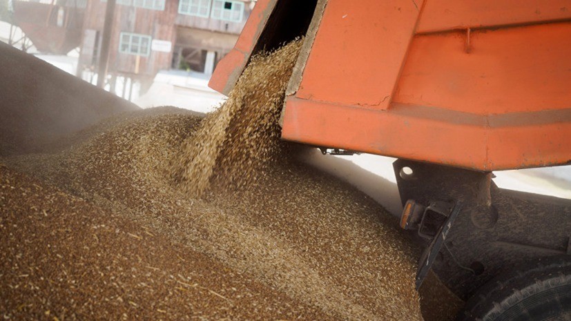 Урожай зерна в России за 2019 год составил 120,6 млн тонн