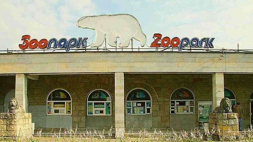 В Ленинградском зоопарке рассказали о благотворительной программе «Опека»