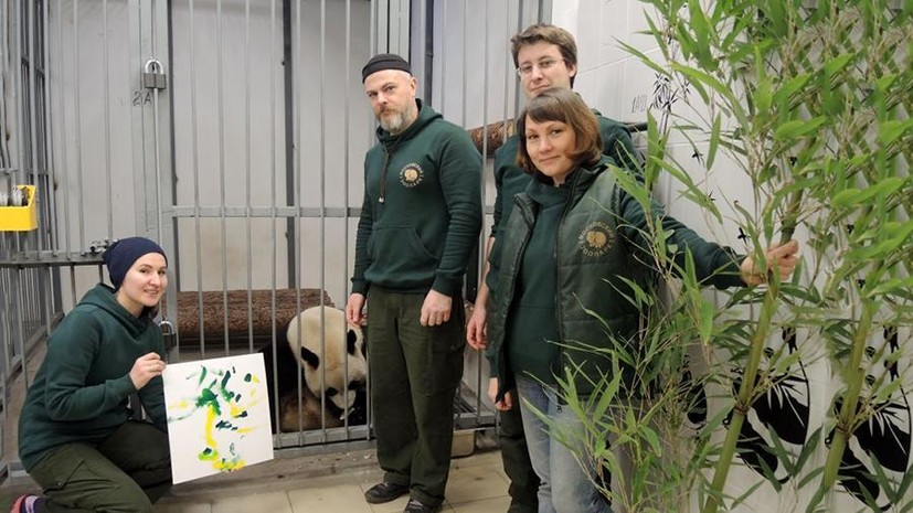 В Московском зоопарке панды начали учиться рисованию