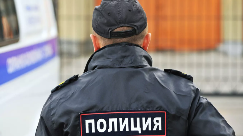 Полицейские нашли пропавшую в Новый год в Москве девочку