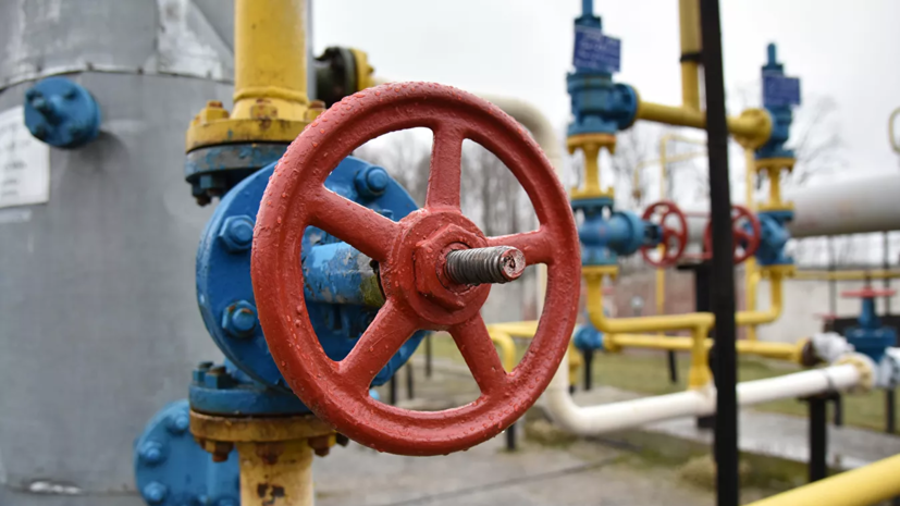 Политолог оценил слова украинского политика о поставках газа из России
