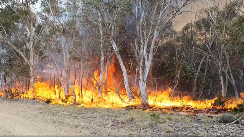 Число погибших из-за пожаров в Австралии достигло 27