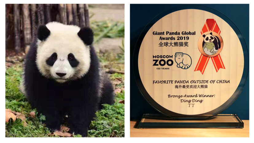 Московский зоопарк получил три премии The Giant Panda Global Awards