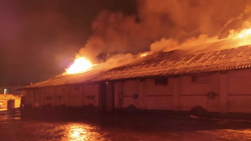 Пожар на зерновом складе под Тулой локализован