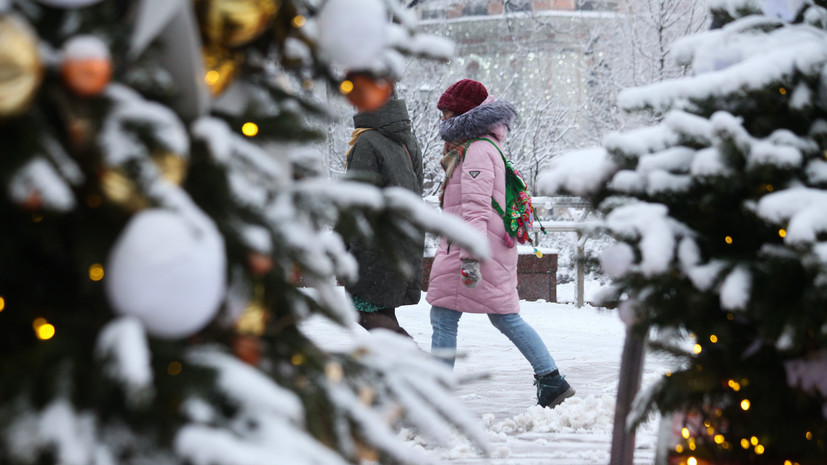 В Гидрометцентре прогнозируют снег 22 января в Москве