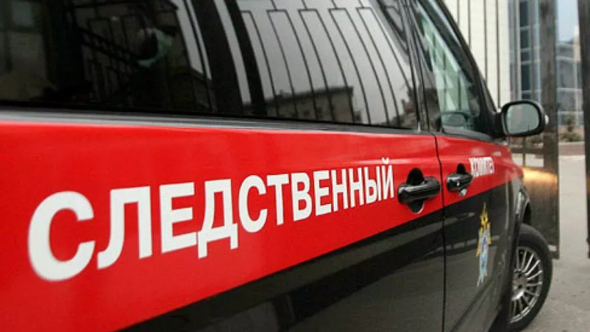 СК возбудил дело после нападения собак на школьника в Якутии