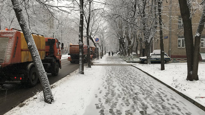 Январский снегопад и розовый февраль: какую погоду обещают синоптики москвичам в ближайшее время