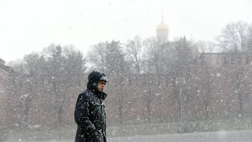 СМИ предсказали в Москве самый сильный снегопад с начала зимы
