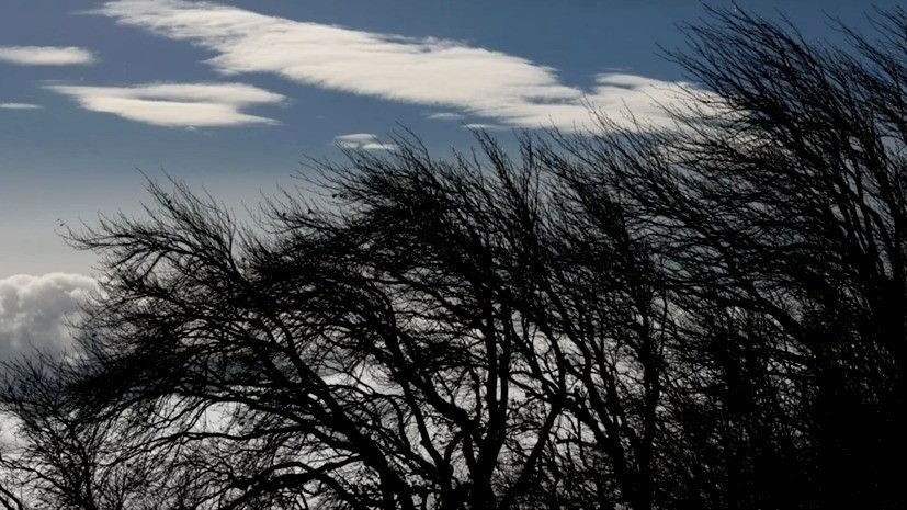 В Краснодарском крае предупредили об усилении ветра до 30 м/с