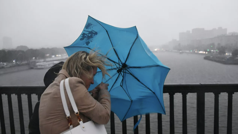 МЧС предупреждает о сильном ветре в Москве