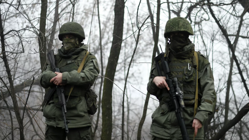 В МИД ДНР оценили представленный в Мюнхене «мирный план» по Донбассу