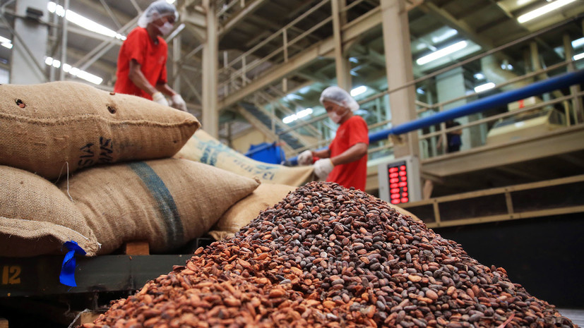 Шоколадное сырьё: как рекордный рост цен на какао-бобы может сказаться на кондитерской индустрии России