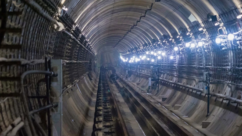 В Москве рассказали о сроках строительства Бирюлёвской и Рублёво-Архангельской линий метро