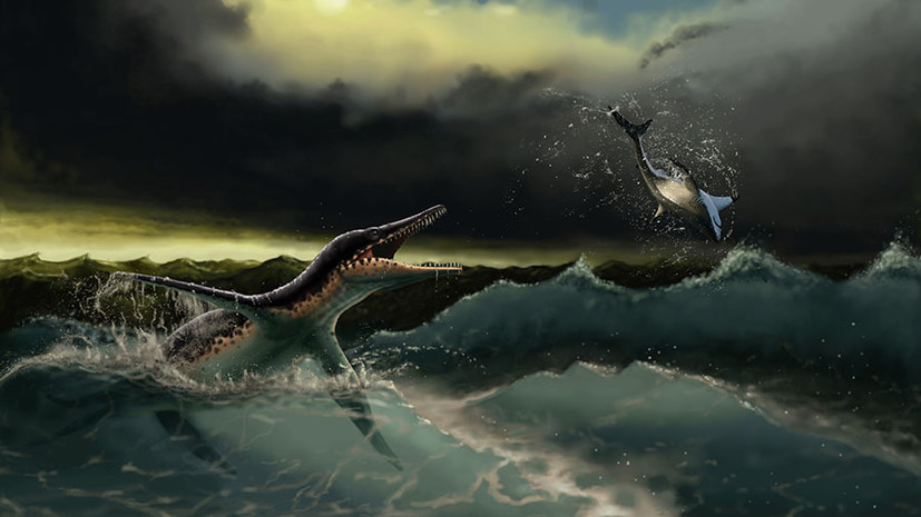 Саратовский плиозавр: на территории Поволжья в меловом периоде обитали гигантские ящеры