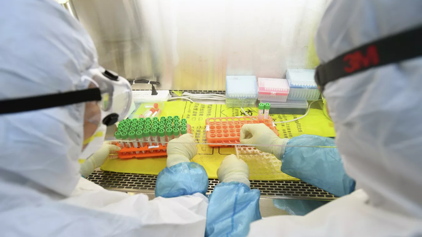 Посол Китая назвал возможные сроки ликвидации коронавируса в стране