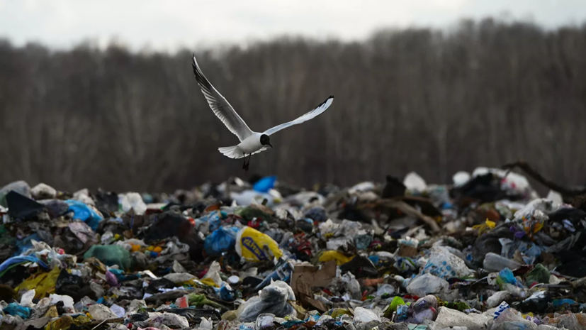 Министр ЖКХ Подмосковья оценил ситуацию с сортировкой мусора в регионе