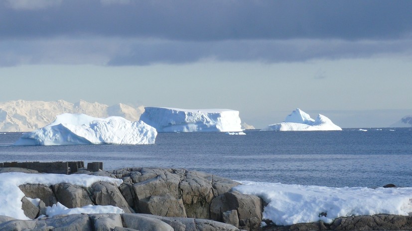 Учёные рассказали об изучении оптических свойств вод Антарктики