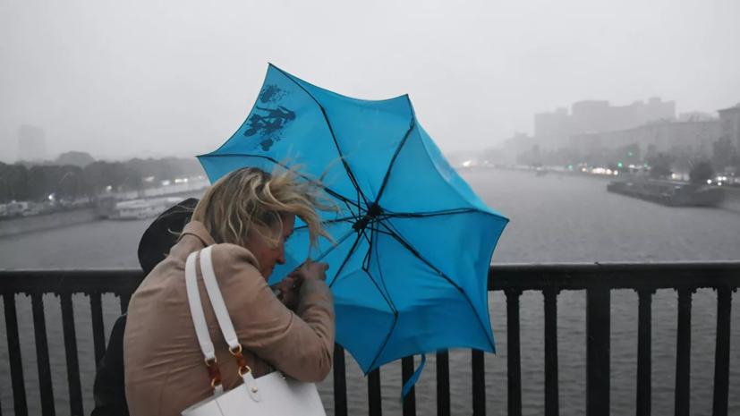 МЧС предупреждает о сильном ветре в Москве