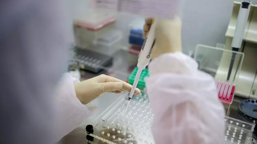 В Новосибирской области разрабатывают 13 вариантов вакцины от COVID-19
