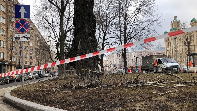 «Жёлтый» уровень погодной опасности объявлен в Москве и области