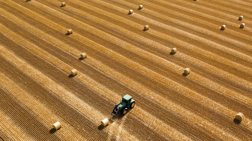 В Тюменской области рассказали о темпах экспорта продукции АПК
