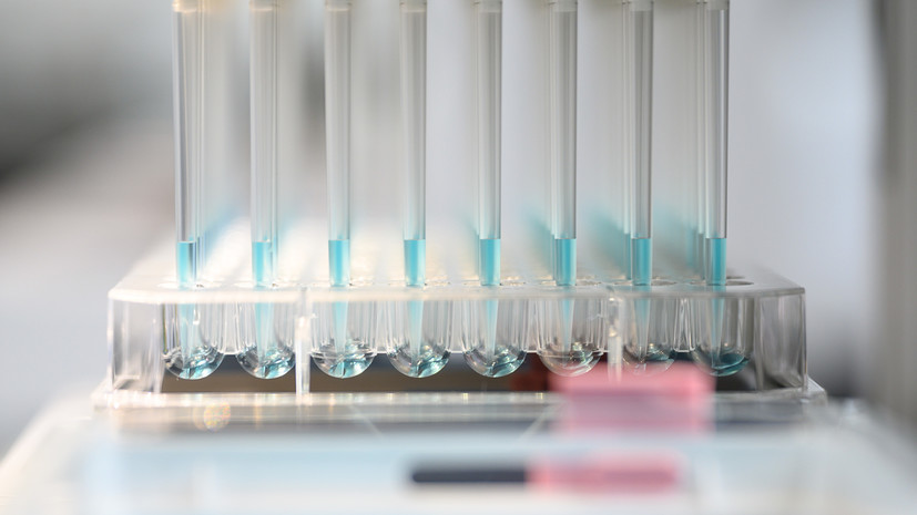 Число заражённых коронавирусом в Палестине выросло до 25