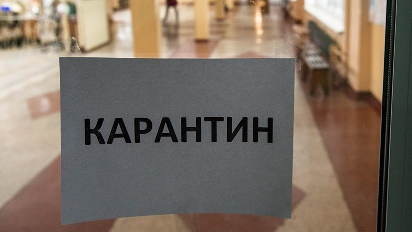 В двух районах Тюменской области ввели карантин по бешенству