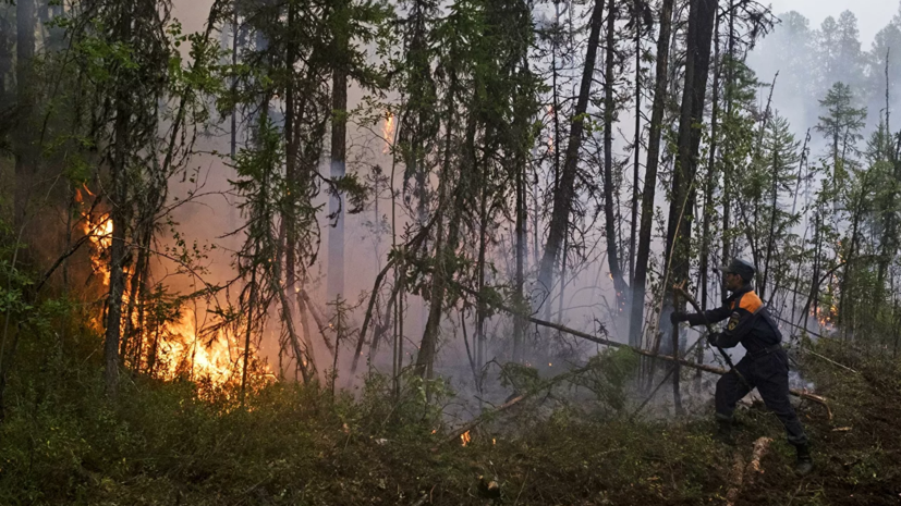 В МЧС заявили о ликвидации всех природных пожаров в России