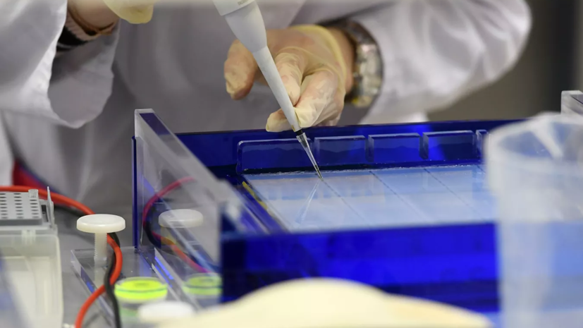 В Мурманске нашли моряка, сбежавшего при проверке на коронавирус